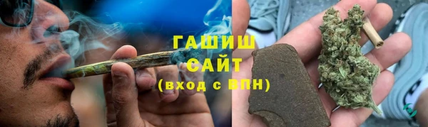 сатива Алексеевка