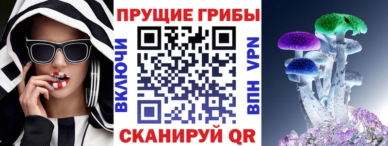 купить наркотик  Андреаполь  Галлюциногенные грибы мицелий 